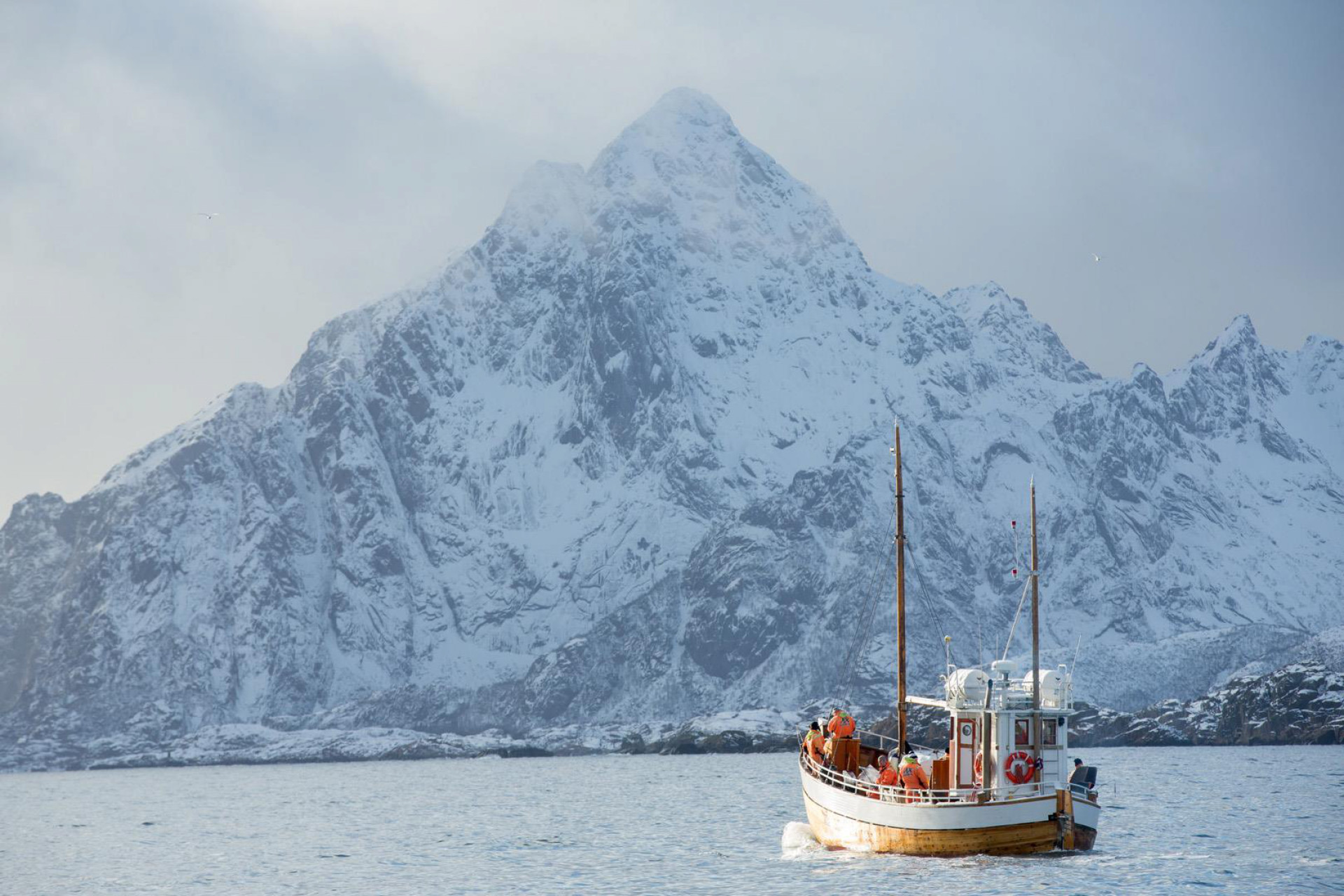Vinterfiske i Lofoten. Foto: XXLofoten.