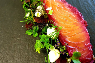 Laks med tilbehør fra norsk fauna. Foto: Restaurant Lofotmat.