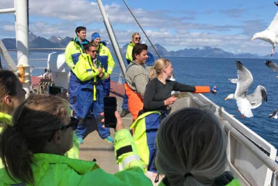 Naturen kommer tett på under fisketur utenfor Reine. Foto: Aqua Lofoten Coast Adventure.