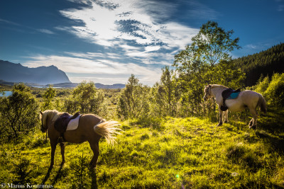 Lofoten er rett og slett strålende vakkert. Foto: Marius Kontrimas / Livland Gård.