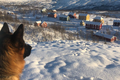 Utsikt over Jakobsbakken. Foto: Jakobsbakken Mountain Resort.