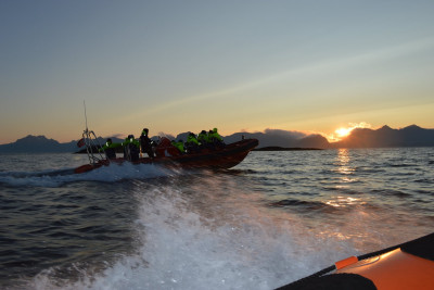 Kveldstur med RIB fra Henningsvær. Foto: Lofoten Opplevelser.