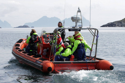 Erfarne RIB-førere gir en morsom og behagelig tur ut fra Henningsvær. Foto: Lofoten Opplevelser.