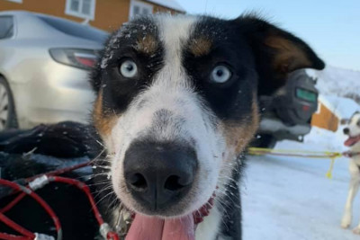 Vil du være med på tur? Foto: Jakobsbakken Mountain Resort.