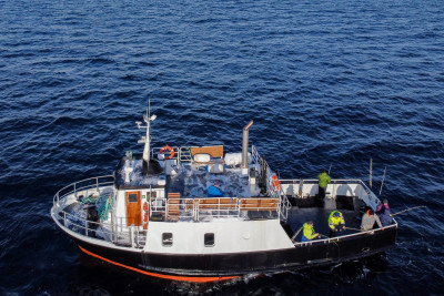 MS Medstraum er en av båtene som er mulig å chartre for fisketur. Foto: Salten Explorer.