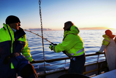 Sola skinner hele døgnet på sommeren og det passer alltid med fisketur. Foto: Henningsvær Havfiske.