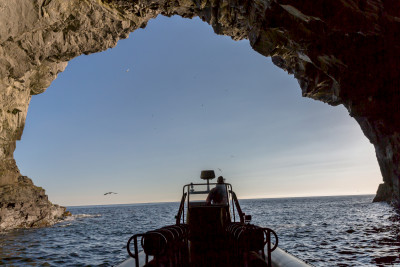 Bilde tatt fra inne i grottene på Runde. Foto: Havopplevelse.