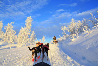 Snødekte trær som kunstverk i naturen. Foto: Jakobsbakken Mountain Resort.